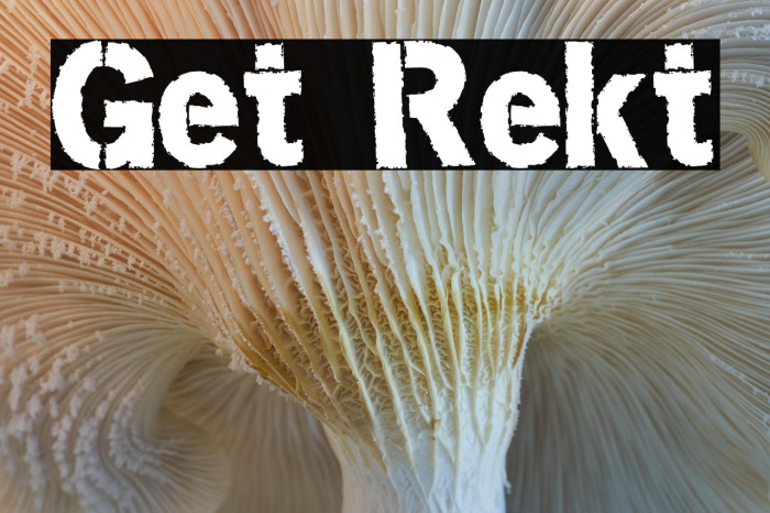 Get Rekt Example 2