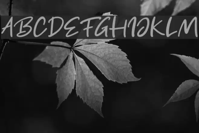 Get Show Font examples