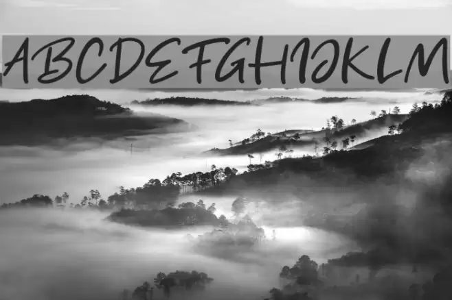 Get Show Font examples