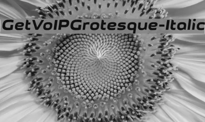 GetVoIPGrotesque-Italic Font examples