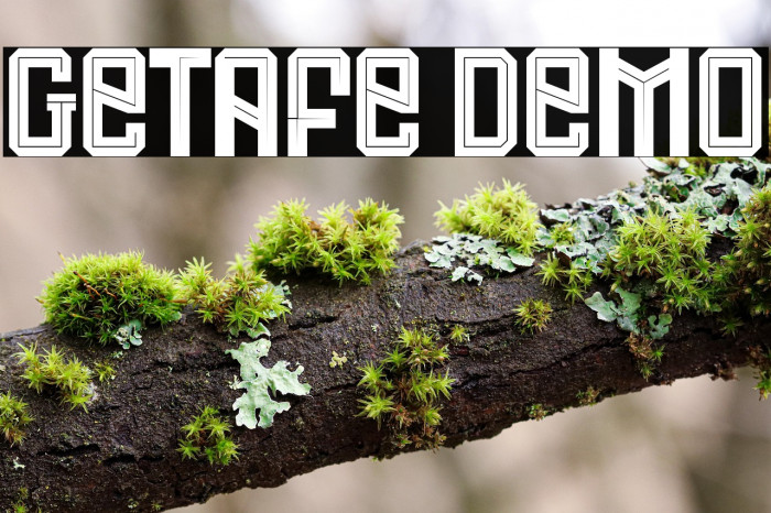 Getafe Demo Example 1