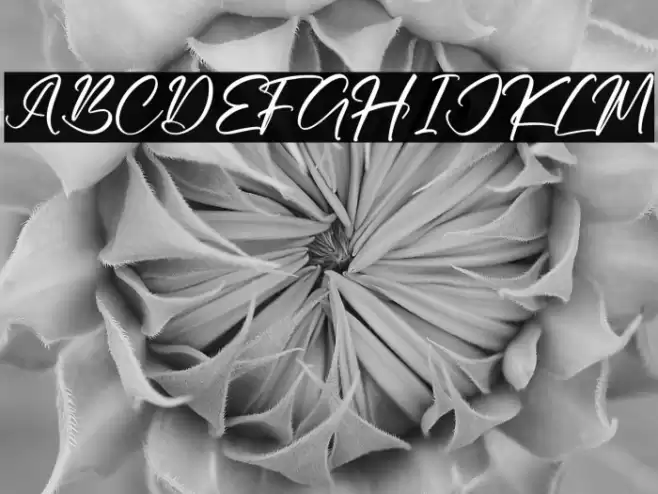 Getisha फ़ॉन्ट examples