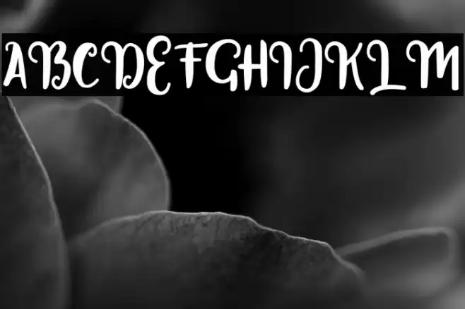 Getolyfe Free For Personal Font examples