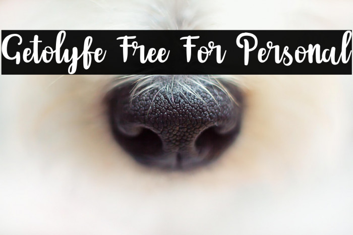 Getolyfe Free For Personal Example 1