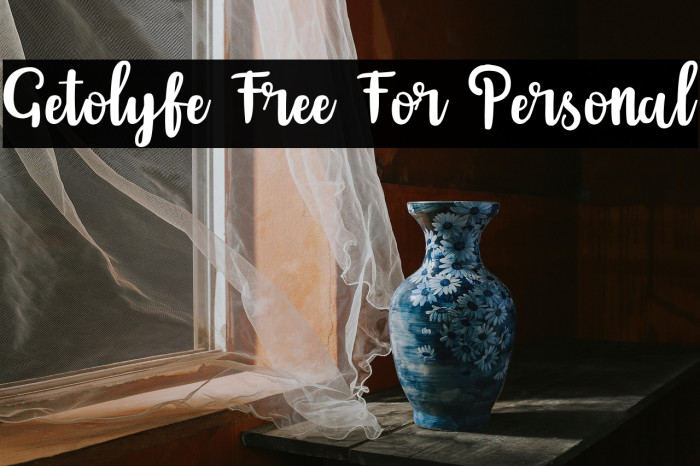 Getolyfe Free For Personal Example 2