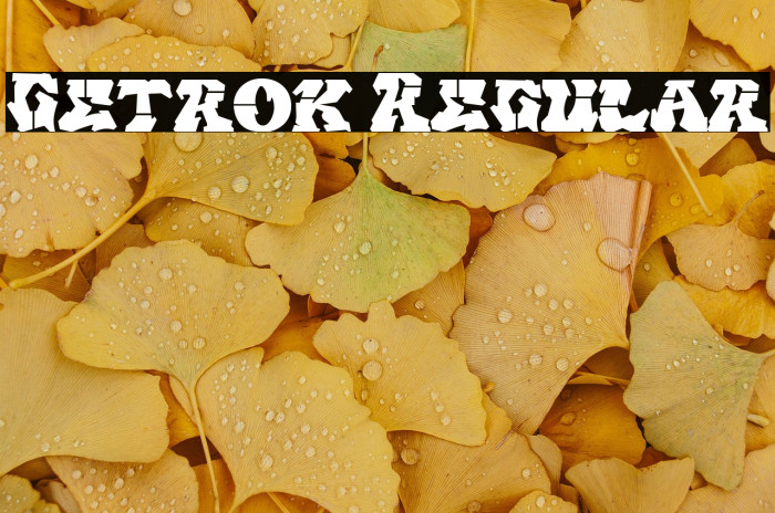 Getrok Regular Example 1