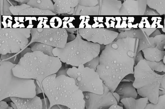 Getrok Regular Font examples