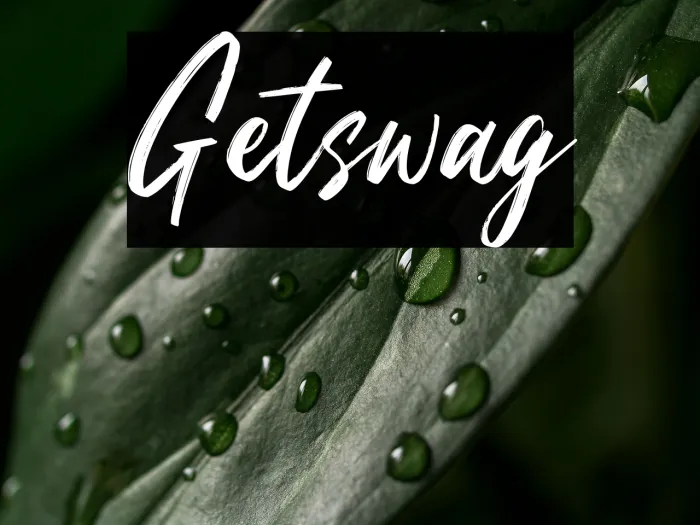 Getswag Example 3
