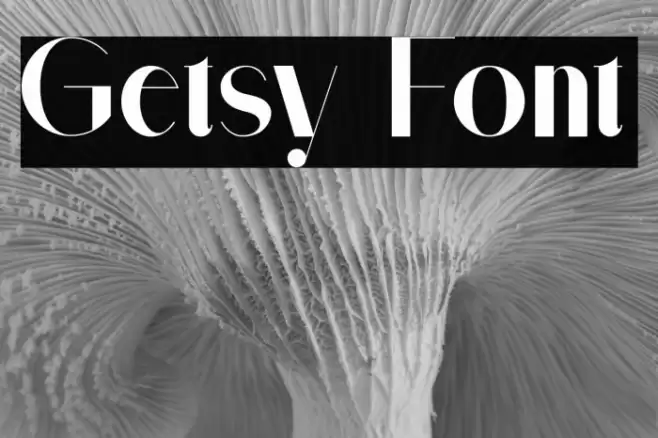 Getsy Font examples
