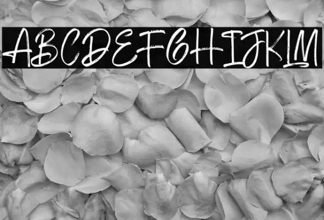 Getting Better Font examples