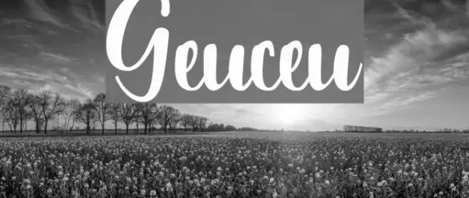 Geuceu Font examples