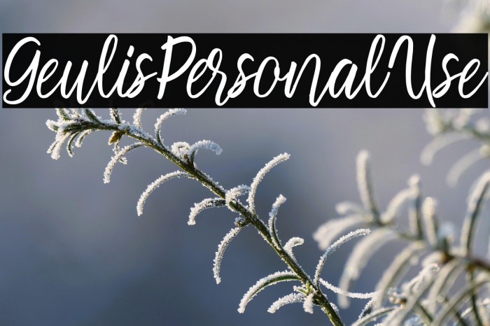 GeulisPersonalUse Example 2