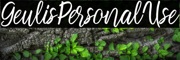 GeulisPersonalUse Example 3