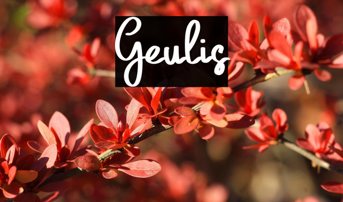 Geulis Example 3