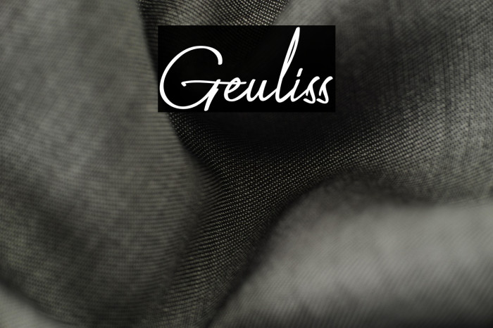 Geuliss Example 3