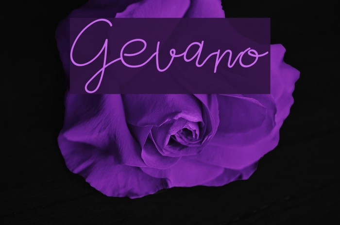 Gevano Font examples