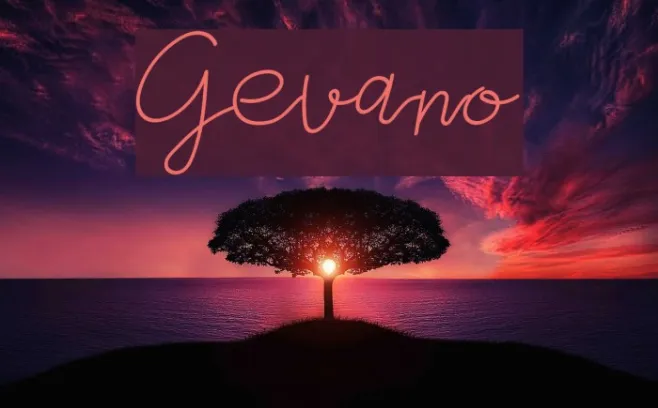 Gevano Example 2