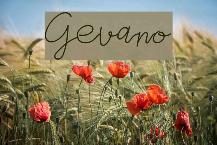 Gevano Font examples