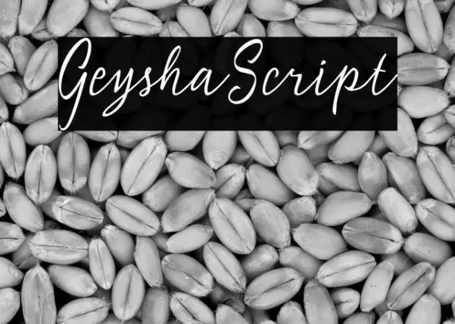 GeyshaScript Font examples