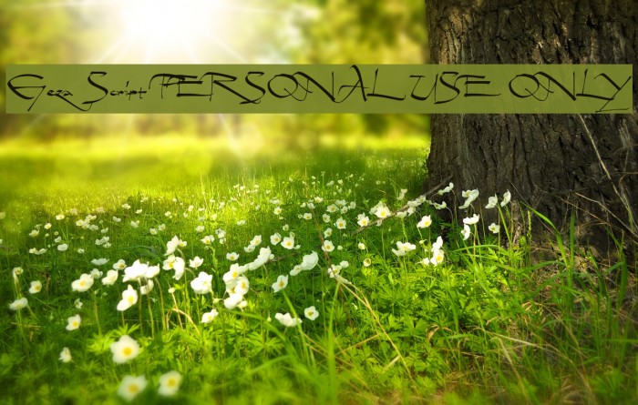 Geza Script PERSONAL USE ONLY Example 1