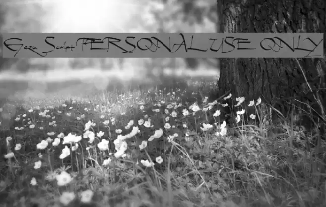 Geza Script PERSONAL USE ONLY Font examples