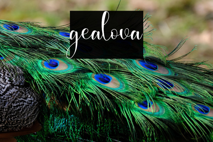 gealova Example 1
