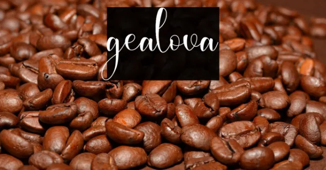 gealova Example 2