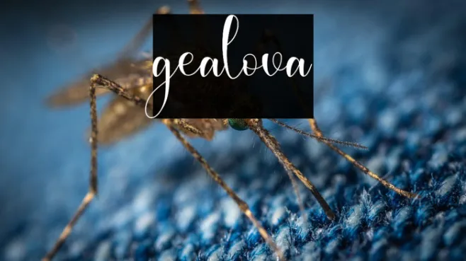 gealova Example 3
