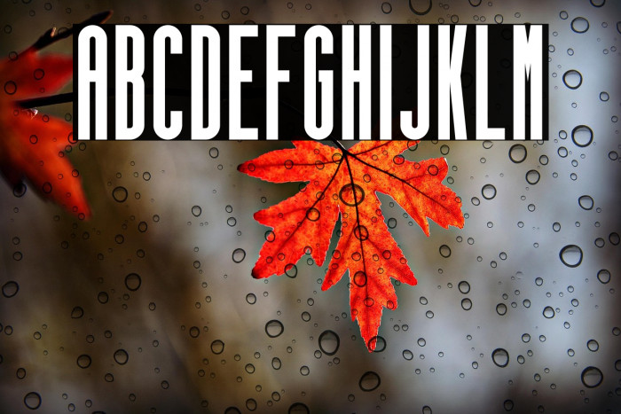 gello bold Example 2