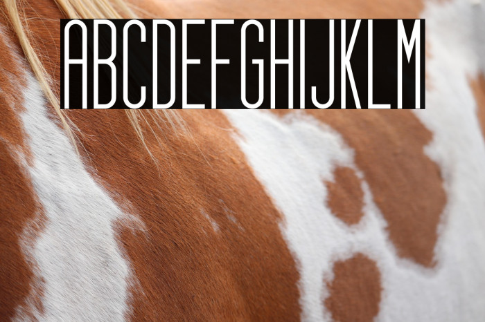 gello thin Example 3