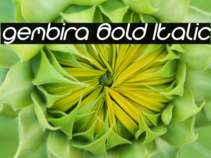 gembira Bold Italic Example 2