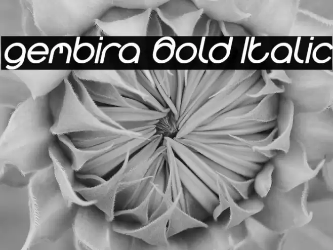 gembira Bold Italic Font examples