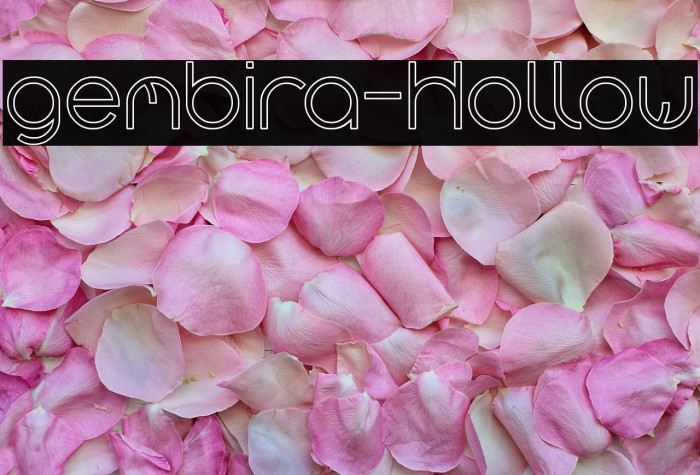 gembira-Hollow Example 1