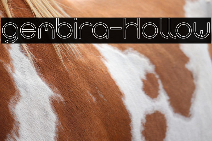 gembira-Hollow Example 2