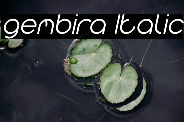 gembira Italic Example 1