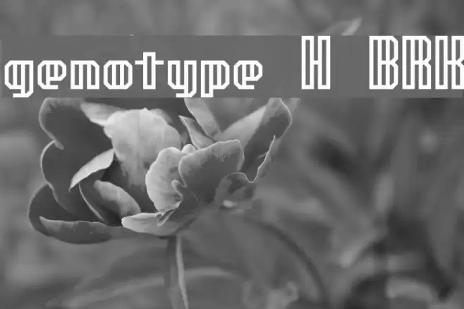 genotype H BRK फ़ॉन्ट examples