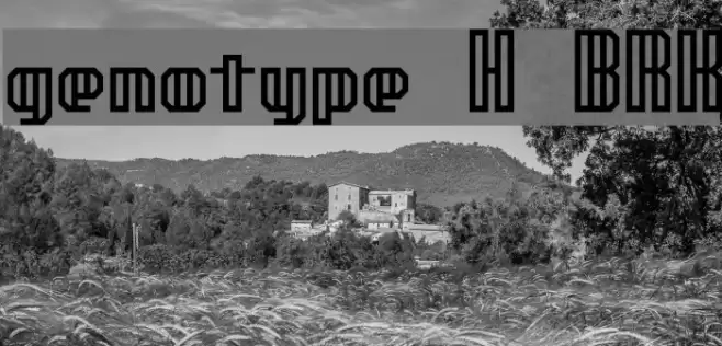 genotype H BRK फ़ॉन्ट examples