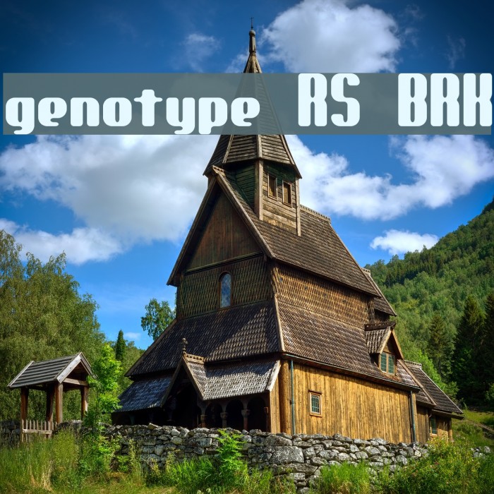 genotype RS BRK Font examples