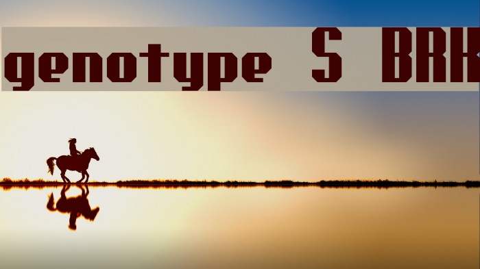 genotype S BRK Font examples