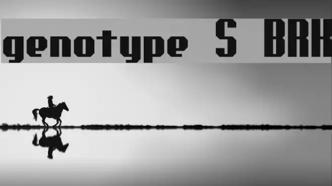 genotype S BRK Шрифта examples