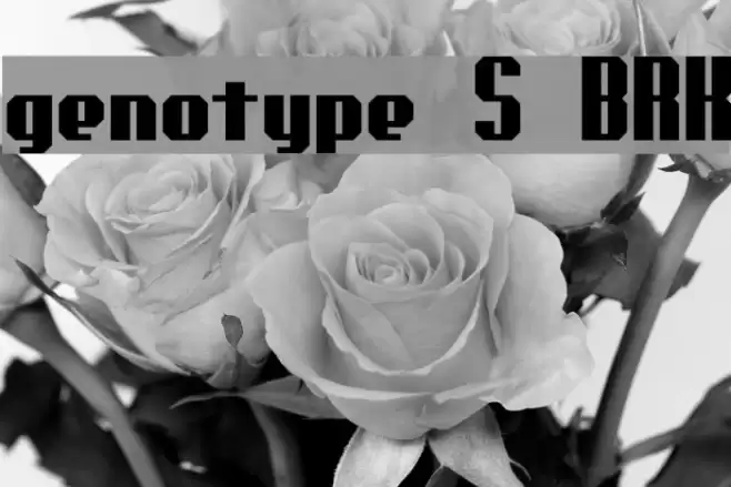genotype S BRK Шрифта examples