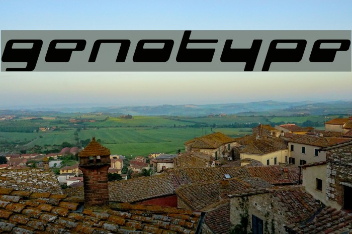 genotype Font examples