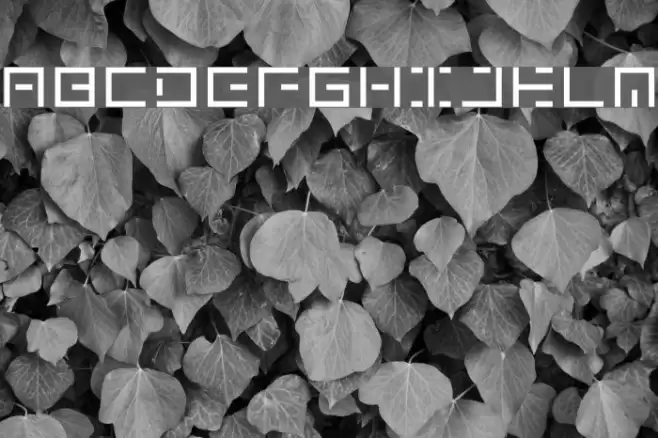 genown_v01 フォント examples