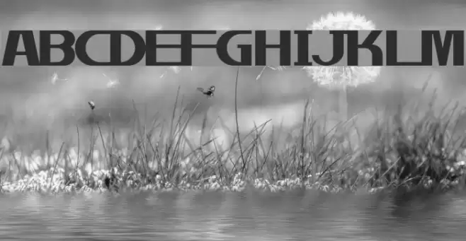 gentle Font examples