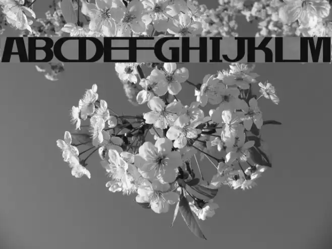 gentle Font examples