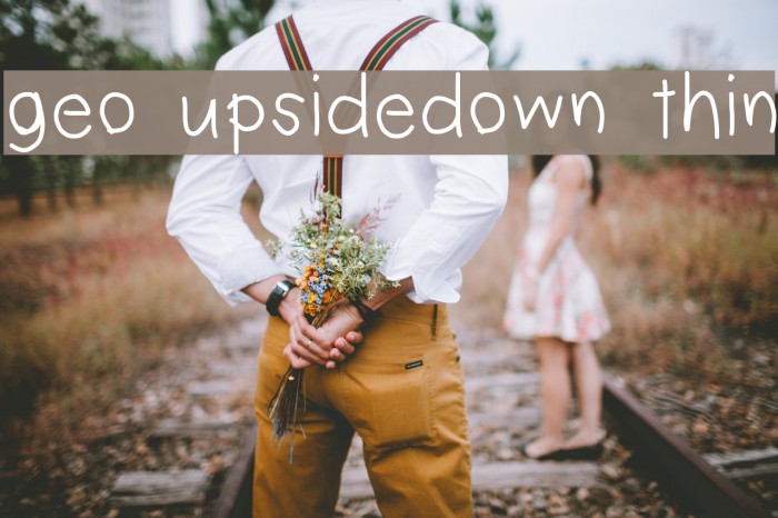 geo upsidedown thin Font examples