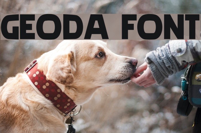 geoda Font examples