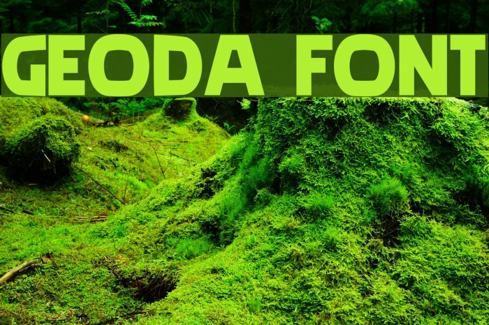geoda Font examples