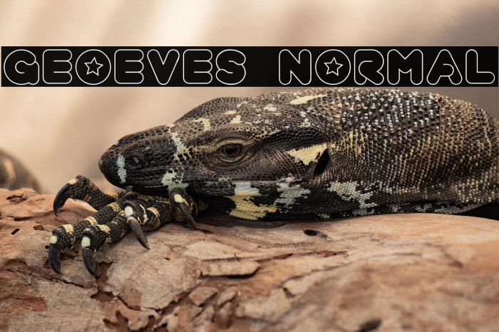 geoeves normal Example 1