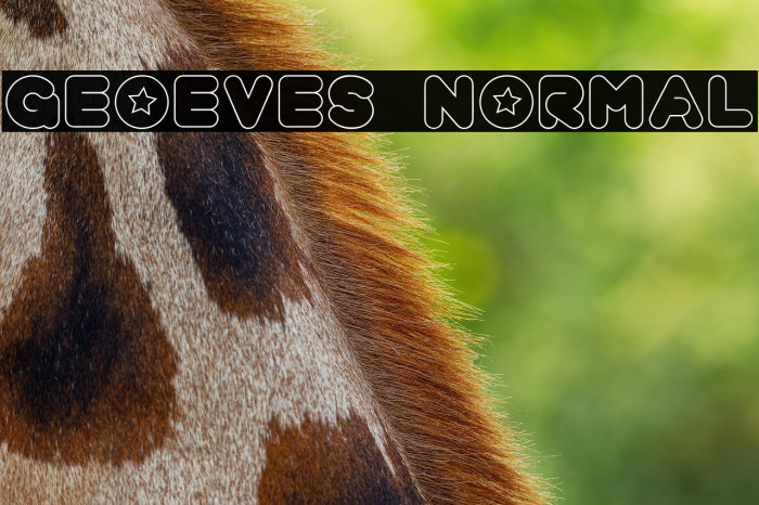 geoeves normal Example 2